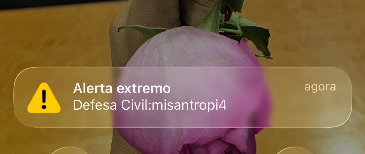 _SteFernanda's tweet photo. Que diacho é MISANTROPIA??? Pq quase m0rri de infarto agora 
Explica isso @defesacivildf https://t.co/kxpd7KRnC0