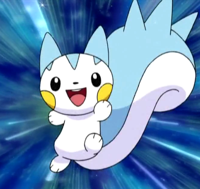 SarasaSunshine's tweet photo. He's almost like Pachirisu! 🐿💙🤍 https://t.co/XQoUzxT1Lw