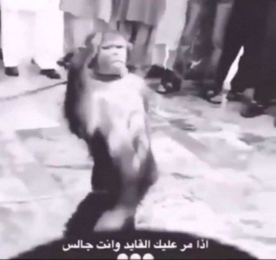 حُسام tweet media