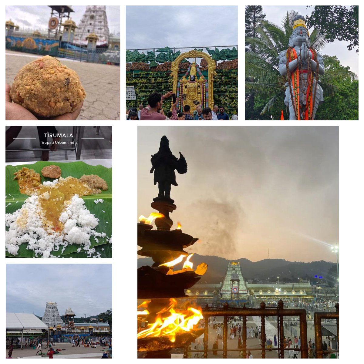 ashuu45i's tweet photo. Had the privilege of offering prayers and seeking the divine blessings of Lord Sri Venkateswara Swamy at Tirumala.

Blessed to have a very fulfilling darshan!
 
@TTDevasthanams 

#Tirumala #Tirupati #LordVenkateswara #SriVenkateswara #PadmavathiAmmavaru #Blessed #GovindaGovinda https://t.co/xHUjRGTf7G