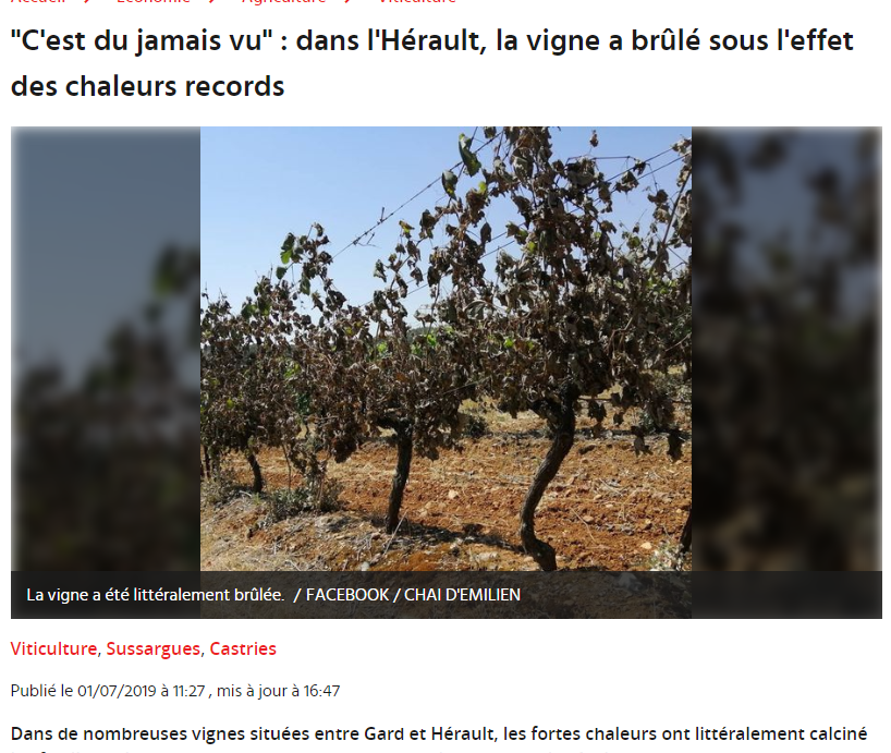 SergeZaka's tweet photo. Il devient très probable que la végétation du Centre-Ouest de la France subisse une conjonction rarissime de facteurs physiques conduisant à une HWFD (Heat Wave Flash Drought), plus communément appelée « sécheresse éclair » ou « effet sèche-cheveux » : des températures dépassant 42°C, une humidité relative inférieure à 20 % et des vents supérieurs à 30 km/h.

Cette combinaison extrême accélère brutalement l'évapotranspiration et l'assèchement de la végétation. Les plantes peuvent alors basculer en quelques heures d'un état de stress hydrique modéré à une situation critique, avec des chutes de feuilles massives observables à l'échelle de paysages entiers, parfois sur des dizaines de milliers de kilomètres carrés. Dans ces conditions, l'irrigation apporte souvent peu de bénéfices immédiats : le problème n'est plus seulement le manque d'eau dans le sol, mais un stress thermique d'une intensité exceptionnelle.

En France, le principal cas documenté de ce phénomène reste celui du 28 juin 2019, lorsque des millions de plantes et d'arbres ont perdu une partie de leur feuillage en quelques heures seulement sous l'effet de températures extrêmes, d'un air très sec et d'un vent desséchant. C'est d'ailleurs le seul cas aussi extrême documenté au monde.

Il est essentiel de documenter ce qui pourrait constituer un nouveau cas majeur en France. Si vous le pouvez, photographiez chaque jour votre jardin, un arbre, une haie ou un paysage végétalisé depuis exactement le même point de vue, à partir d'aujourd'hui et pendant les dix prochains jours. Ces observations pourraient constituer un témoignage précieux de la vitesse à laquelle la végétation réagit à un événement climatique d'une telle intensité.

Pour la première fois au monde, on peut anticiper grâce au site gratuit https://t.co/ux75RhIRum rubrique "végétaux", "effet sèche cheveux".

#canicule #vigilancerouge