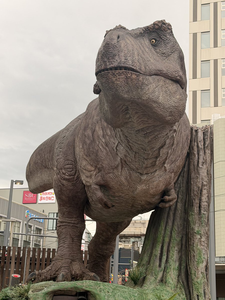 WhereWillGo___'s tweet photo. 中国ドラマ好きのランチ会in福井(北陸)
本日は遠方からお越しくださりまして、本当にありがとうございます🙏

今回は福井駅近くの茶荘 · 香蘭さんにて
中国茶も嗜みながらの楽しい時間本当にありがとうございました。土地勘ない中でドキドキでした😂

皆んなが持ち寄ってくださったゲストもたくさん🤗 https://t.co/l9ipYNSkWb