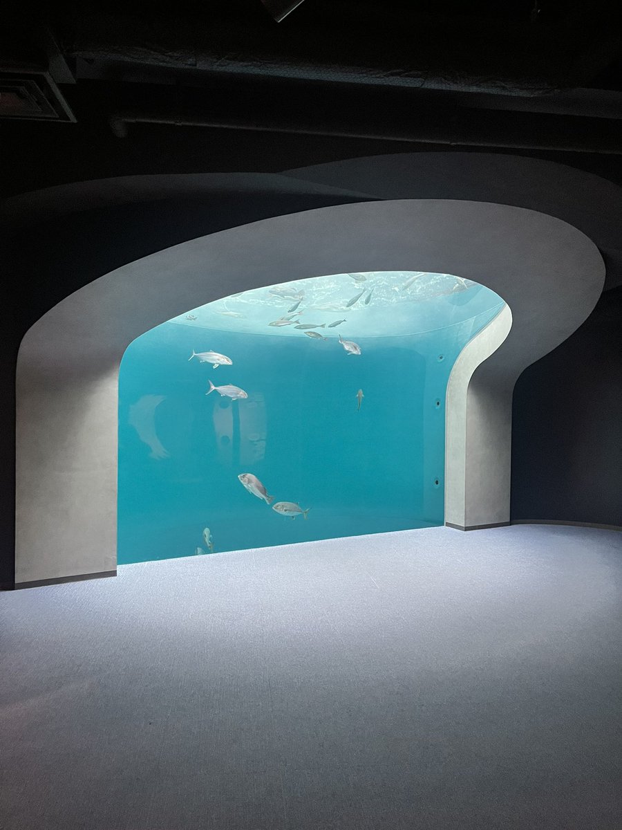 3kan_pro's tweet photo. 四国水族館𓆛𓆜𓆝𓆞𓆟 https://t.co/Az2yJfy5C4