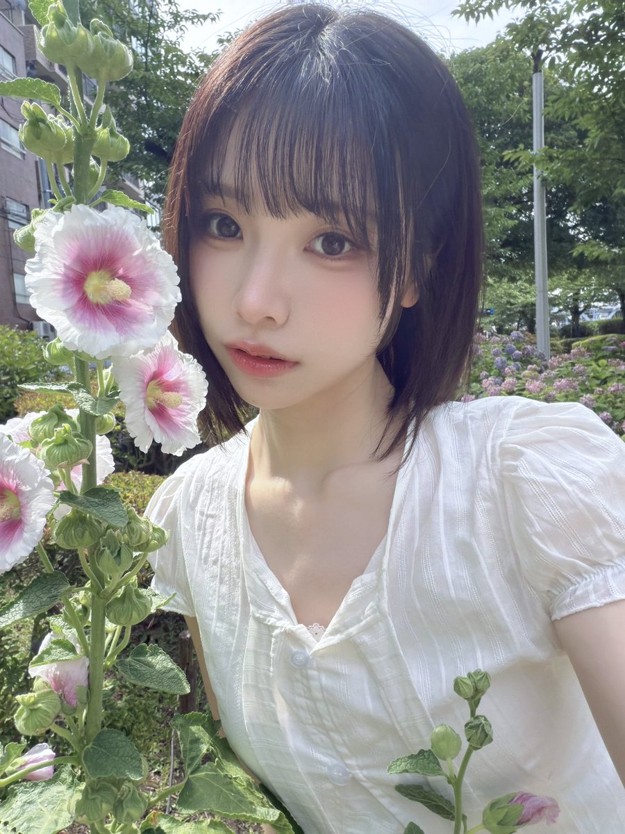 Liyuu tweet media
