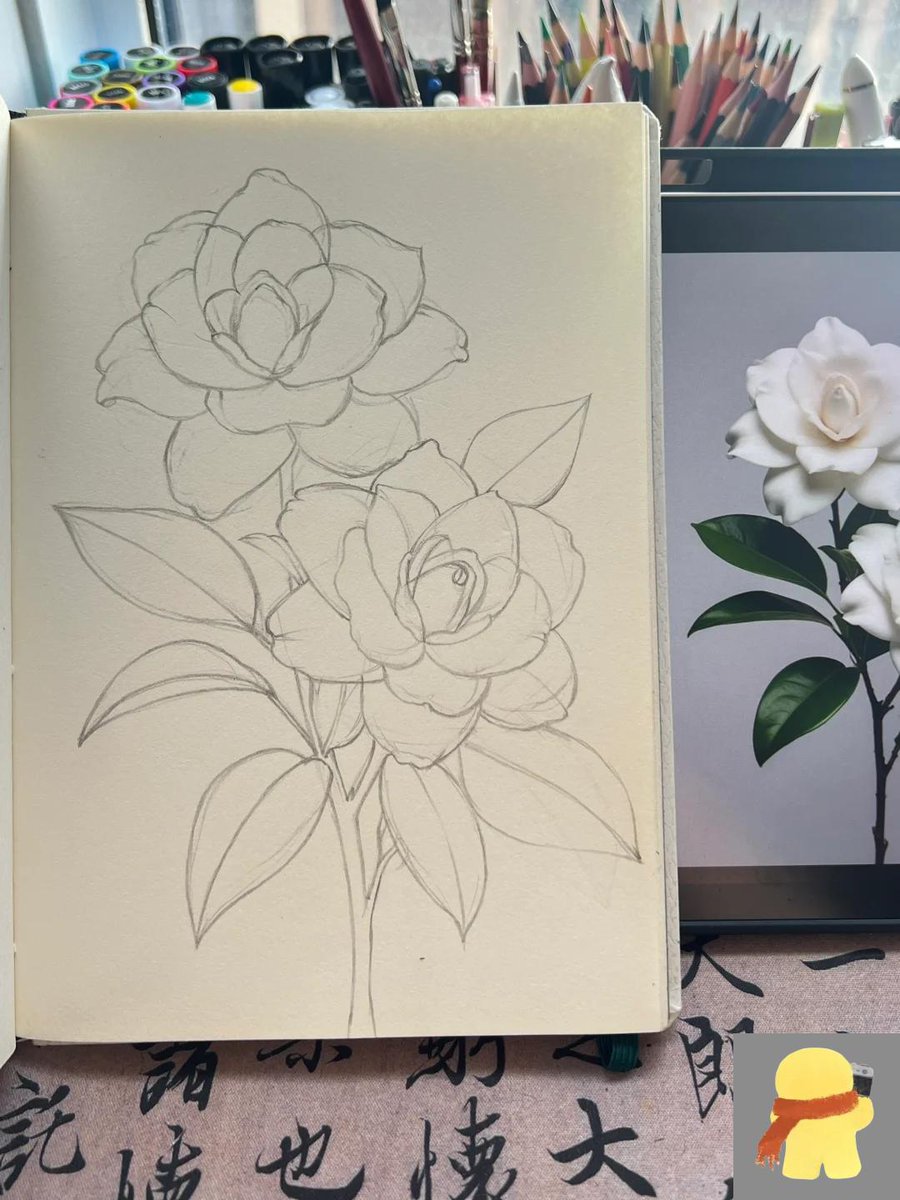 SuXa161's tweet photo. Want to pick up a new hobby Try 15-minute daily sketching! It’s easy, fun, and helps you relax and capture small joys around you. Start today! https://t.co/fItZ0O0LyU