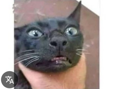 btw_Alamm's tweet photo. Jab mehmano ka bacha shetani krny ky Baad mujhy Akela mely😐

Le Me: https://t.co/pljfHQIv2d