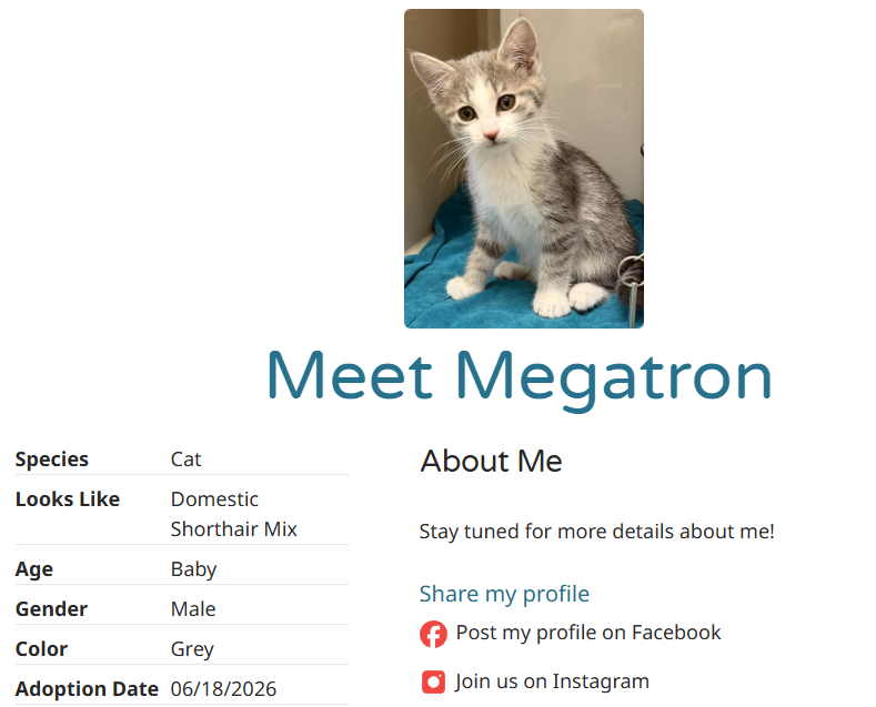 hourglassaft's tweet photo. THEY POSTED MEGATRON
age BABY https://t.co/Vqykl5gRad