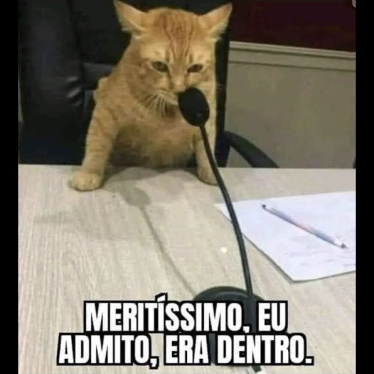 fael comunistinha safado 🇧🇷🚩🛠️ tweet media