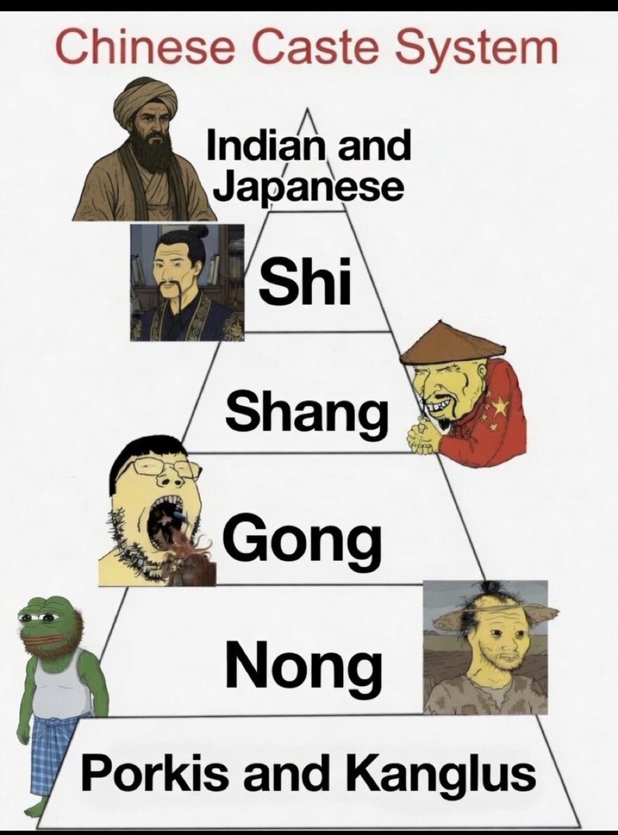 Geotactix's tweet photo. Chinese Caste System 🇨🇳 https://t.co/VChtX7BIVV