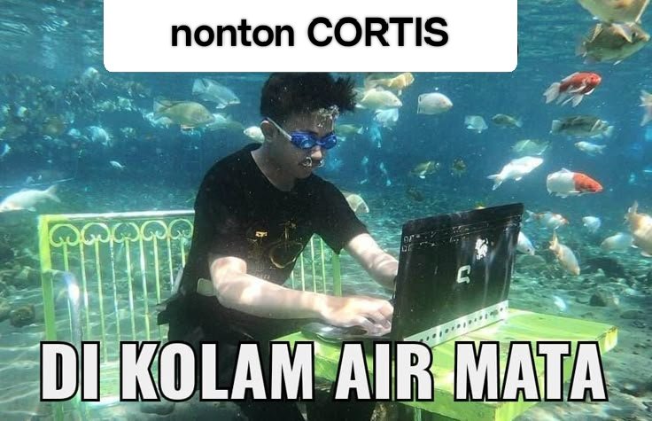 bibinaaa tweet media