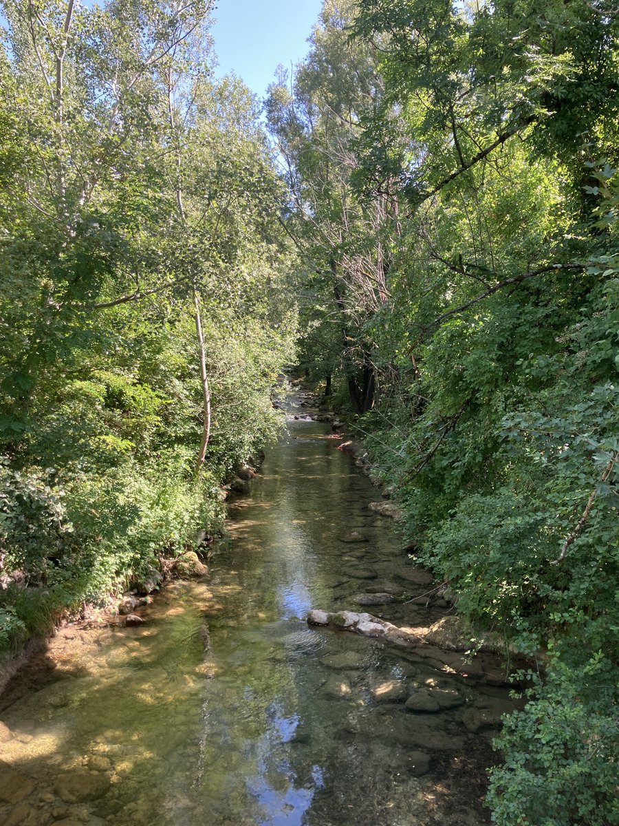 Clalaucla's tweet photo. Vive les coulées vertes dans nos villes. A St Egreve, la vence traverse la ville dans un (petit) couloir biologique riche en espèces. #vence #saintegreve https://t.co/mTfw1a1xPx