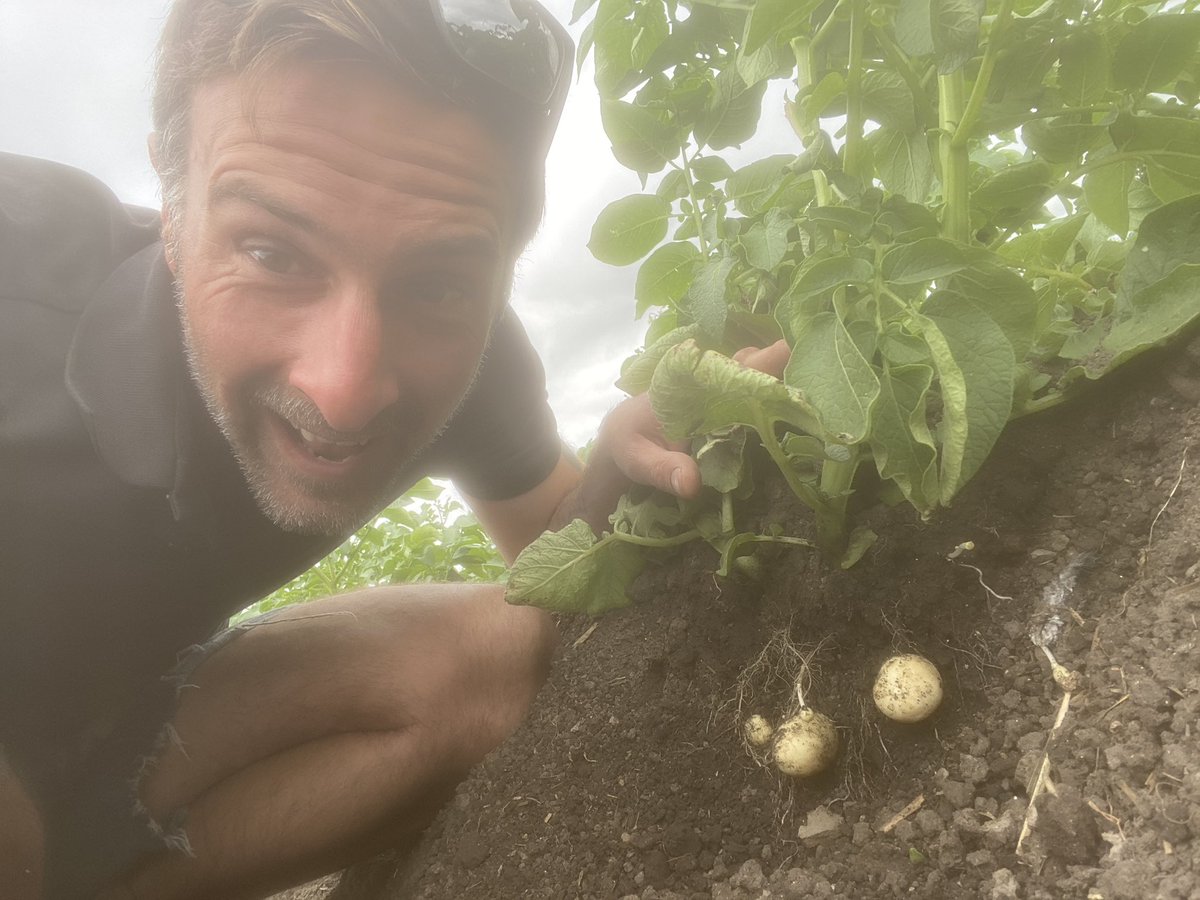 Ondaintreefarm's tweet photo. New potato up date! Many have been asking! They’re nearly there a couple more weeks and they will be ready! 🥔🥔 

You can order your posted potatoes (Sale still on) or still donate a new bag of potatoes at: https://t.co/SYOW8H9rS9 🥔📮

#FarmerLuke #DownOnDaintreeFarm #Mrsfarmerluke #spudwife

 #FarmerLuke #DownOnDaintreeFarm #Mrsfarmerluke #spudwife
