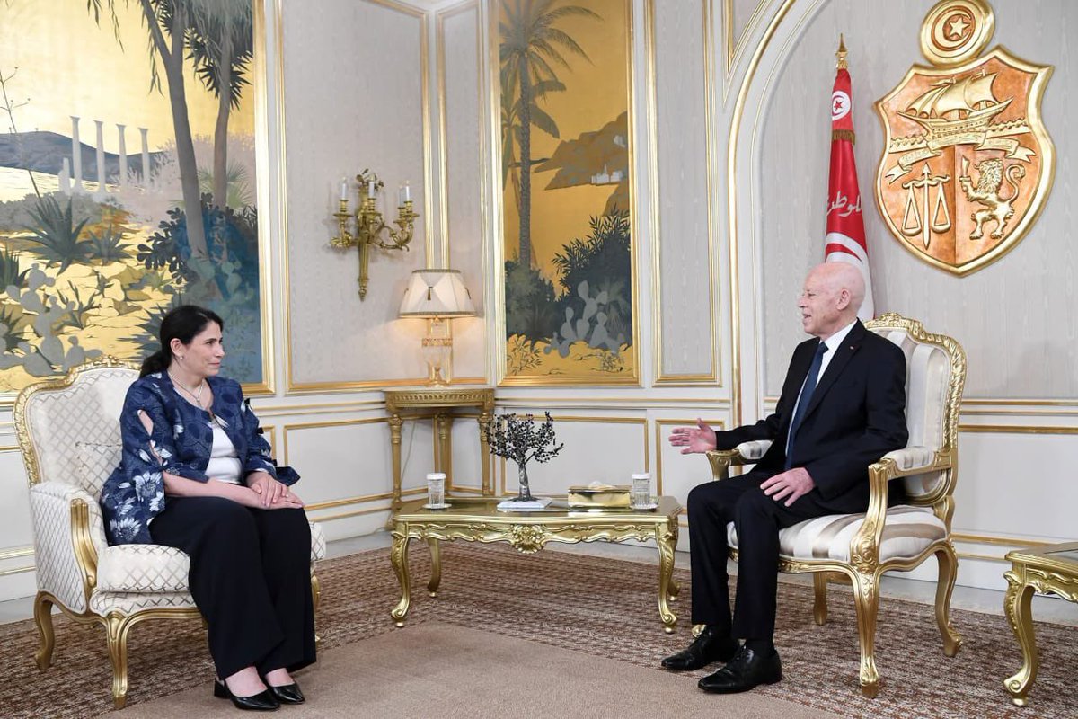 DCP_Haddadi's tweet photo. I had the distinct honour of being received by His Excellency Mr. Kais Saied, President of the Republic of Tunisia 🇹🇳, at the Carthage Palace, and benefiting from his insightful analysis and vision regarding the work and efforts of the @_AfricanUnion in the fields of sustainable development and the consolidation of peace and security, as well as expanding horizons of joint action and cooperation with the Republic of Tunisia.

This meeting was a valuable opportunity to discuss His Excellency's vision for the development of joint African action and the imperative need to renew the concepts and mechanisms of continental cooperation — a practical necessity aimed at keeping pace with the transformations of our time and making continental action more effective and more aligned with the aspirations of African peoples for development, particularly as prevailing frameworks are no longer able to accommodate the profound changes reshaping the world we live in. 

I also seized this happy occasion to convey to His Excellency the President of the Republic the greetings and esteem of His Excellency Mr. Mahmoud Ali Youssouf @ymahmoudali , Chairperson of the African Union Commission, as well as the African Union Commission's appreciation for Tunisia's historic and steadfast support to the continental organisation, while commending, at the same time, the numerous contributions of Tunisian diplomacy in the service of African and international causes.
