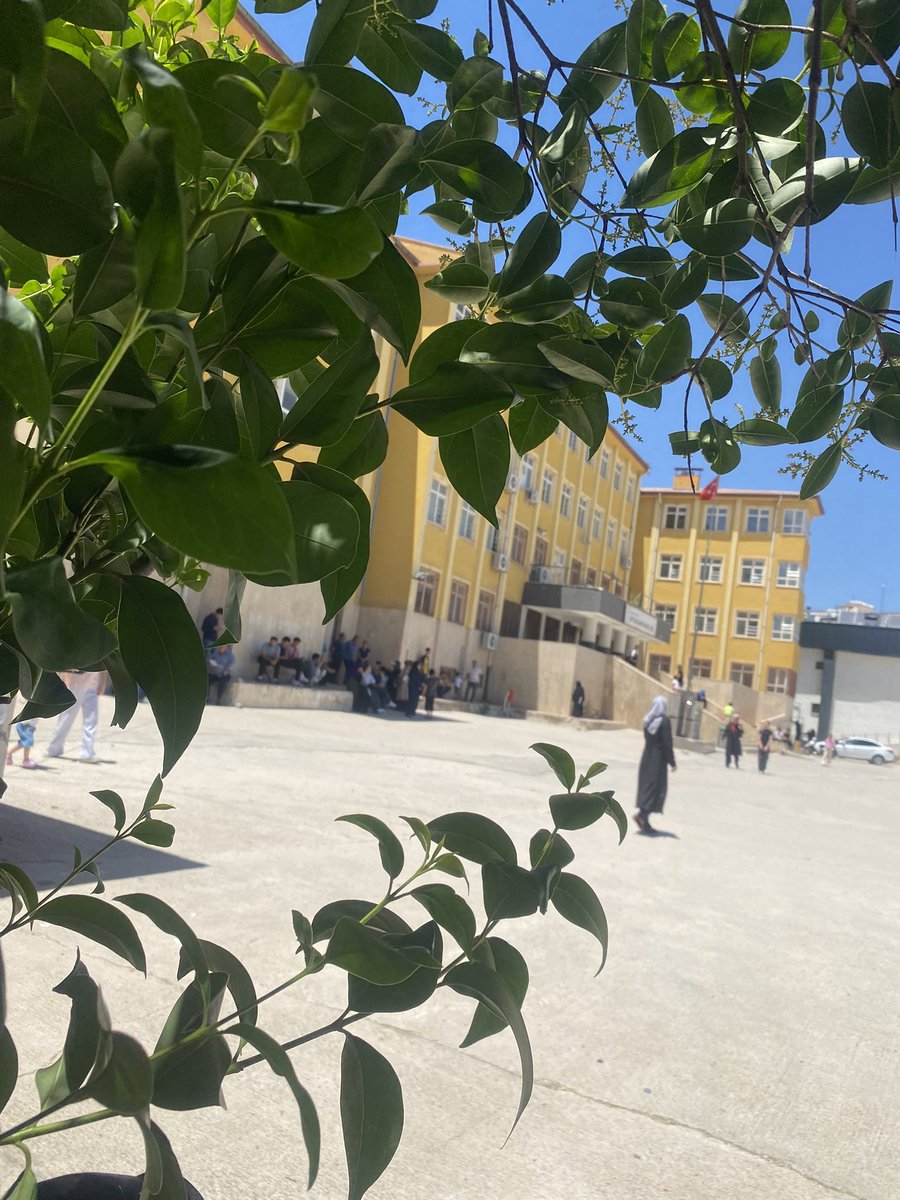 MedineCiftci's tweet photo. Sınav işi ve beklemeler… https://t.co/roUbeywXvX