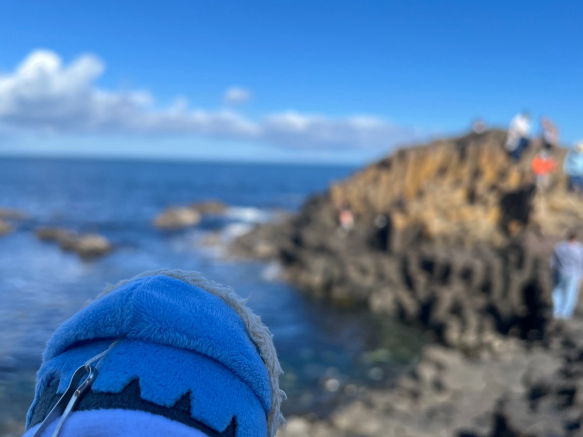 moriwofg's tweet photo. 一時間くらいいられた！ジャイアンツコーズウェー　氷河に削られてできた崖の稜線が青空に美しくて、ずっと見ていたかった https://t.co/dCeMBtmSqO