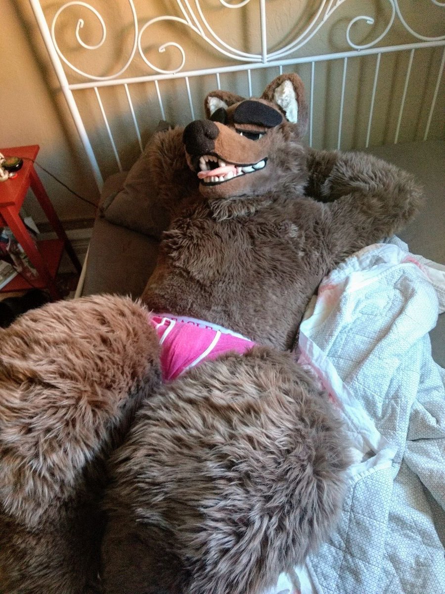 holidaythefox's tweet photo. Asswolf I still think about you to this day, legit the first suiter who made me want to get into suiting and have fun!

But anytime I bring it up to someone over 28 they look at me crazy 😭😭😭 https://t.co/1s8N5Qe2cx