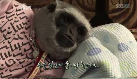 kyubalnom's tweet photo. 미쓰라 뭐하니
나? 편지써 
누구한테 
있잖아 걔 
야 너 아직도 걔생각하냐? 잊어라쫌 
야 나와나와 타블로는 뭐하냐? 
아마 일촌파도타고 있을껄? 
아.. 야 니 좋아하는 그 작가 전시회 한다는데 같이갈래? 
에휴.. 오늘은 그냥 혼자 있을래.. 

Loneliness https://t.co/ZUgFk1ZGFg