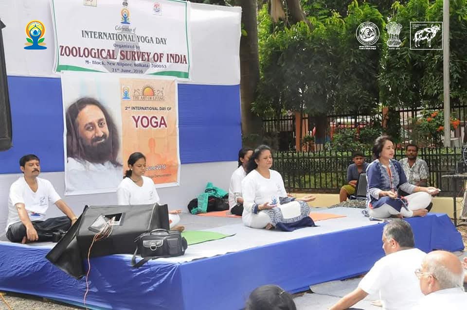 ZoologicalI's tweet photo. 🌿 ZSI has been celebrating #IDY since 2014 with active participation from scientists, researchers, and staff under trained Instructors from The Art of Living, Kolkata. https://t.co/MnRs7GHHI3