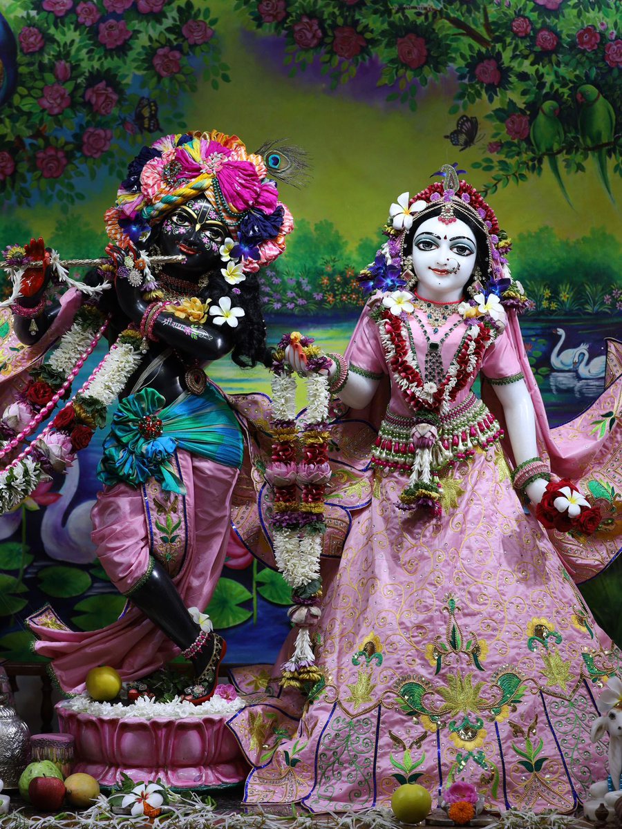 ISKCONNashik's tweet photo. https://t.co/TtCT7UJsVR