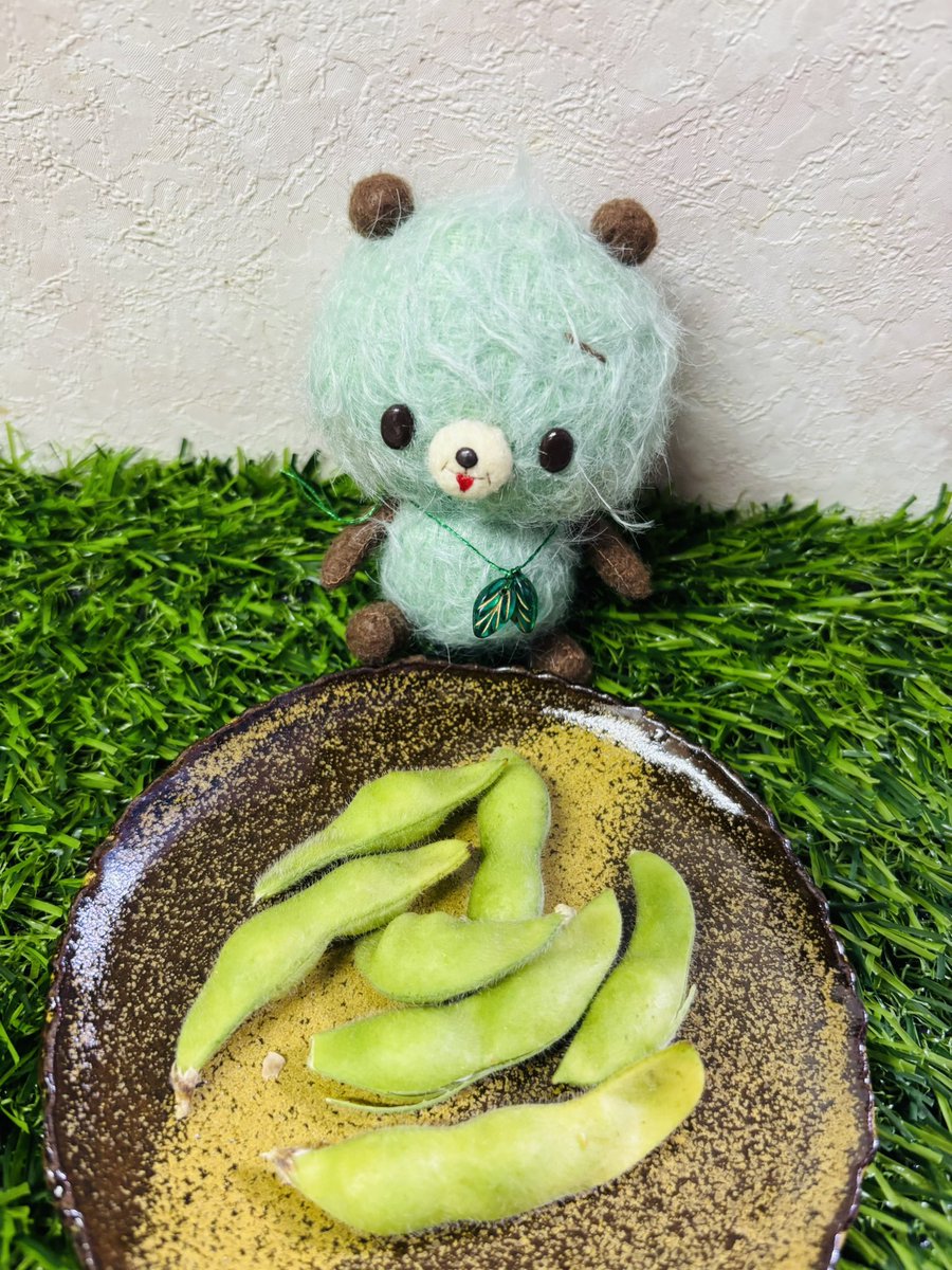 nachuchu_no_chu's tweet photo. ペパーミントの日 🌿らしい
パパがペットボトルで育てた枝豆🫛と
MINT🧸🌿

#MINT🧸🌿
#nachu♡ https://t.co/oMBhqmRuHs