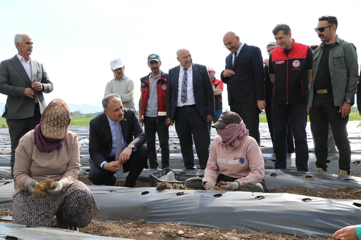 agritarimgovtr's tweet photo. Valiliğimiz koordinesinde, İl Özel İdaremiz ile İl Müdürlüğümüz tarafından düzenlenen çilek fidesi ve ekipmanı dağıtım programı, Valimiz Sayın Önder BOZKURT’un katılımıyla, Aşağı Yoldüzü Köyü’nde gerçekleştirildi.

@TCTarim 
@ibrahimyumakli 
@tcagrivaliligi 
@mehmethsyngl https://t.co/VQ6MMvt4UQ