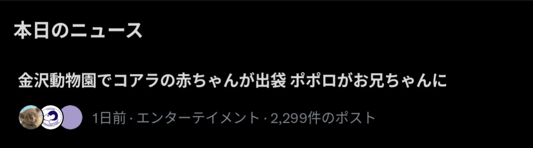 chibi8kochan's tweet photo. えへへへへ、ポポロがお兄ちゃんに🐨🩵 https://t.co/r01LXcswe0