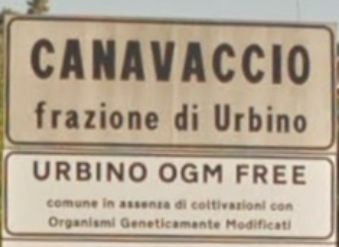 RobertoBurioni's tweet photo. @Antongiulio2 @g_caprotti @ScaltritiLab sono anni che leggiamo "senza OGM" e non battiamo ciglio, raccogliendo i frutti di questo atteggiamento antiscientifico, vogliamo arrabbiarci ora? E' OGM free anche Urbino, che ospita nella sua università un corso di studi di biotecnologia! https://t.co/VCaM9TTGNZ