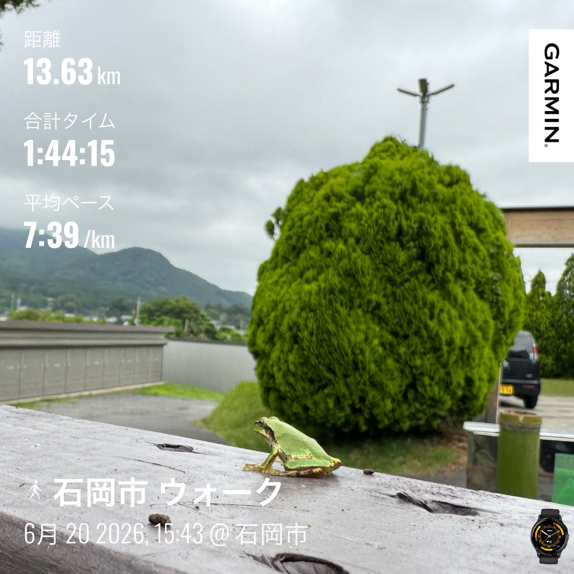 karashitoufu's tweet photo. パラ帰りウォーク
やっと自分の機体が手に入って、さぁやるぞ、と思ったら雨で途中で中止。まぁ仕方ない。
寒いしずっと雨だなぁ、と携帯見てたら今日は大会の日でしたね。大��そうだ、お気をつけて下さい。 https://t.co/eok5Szg2tL
