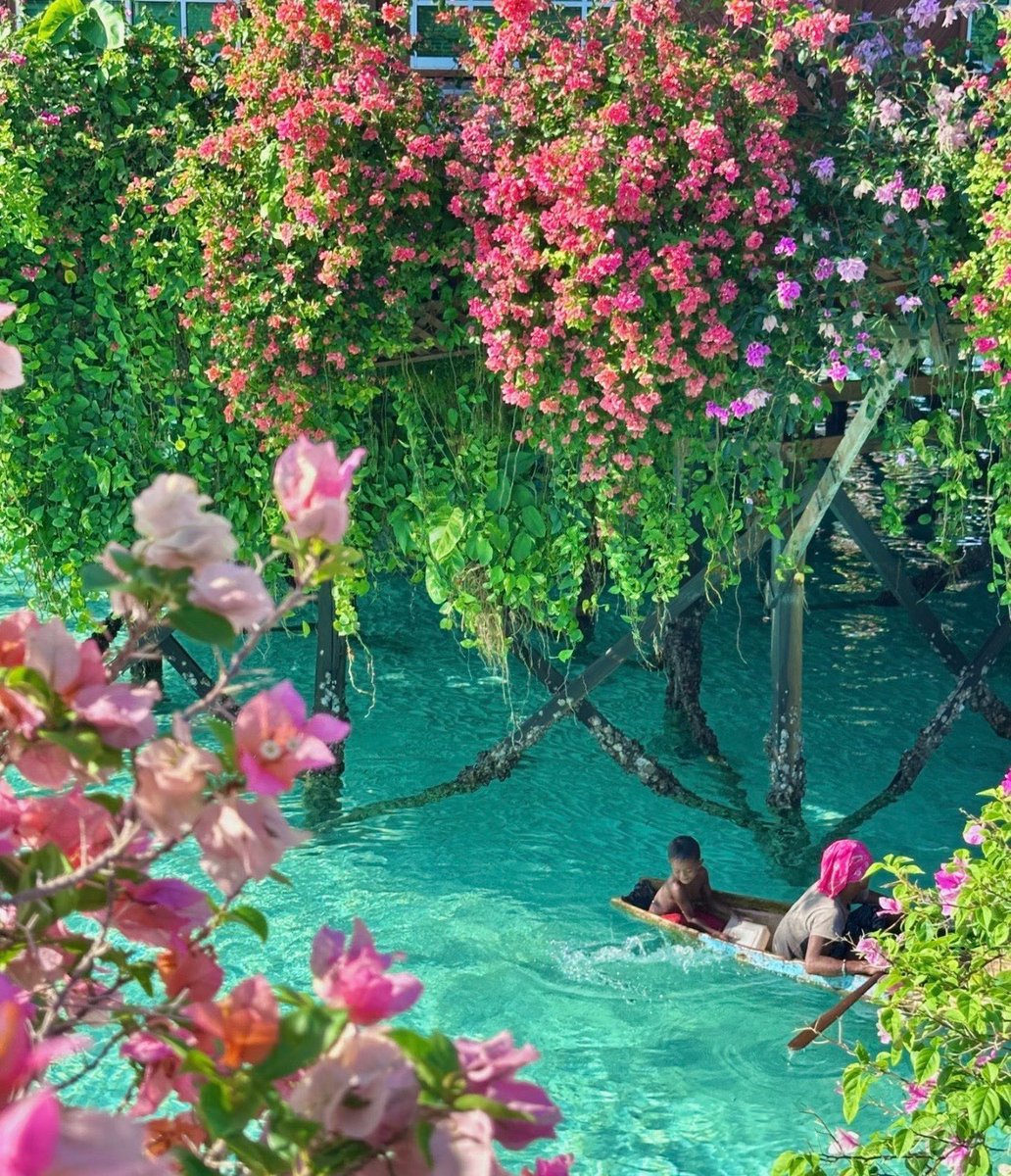Pure_naturess's tweet photo. the beauty of Mabul Island, Malaysia 🌸 https://t.co/HXp2tZItbw