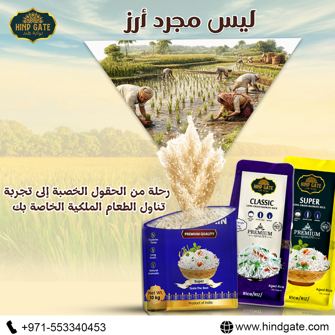 HindGate's tweet photo. Hind Gate is more than rice on a plate. It is the care from the fields, the quality in every grain, and the taste your family remembers.
For trade-related queries WhatsApp at +971553340453
#ricemill #ricebowl #rice #exporter #exportrice #exportimport #export #exportquality #rice https://t.co/JMYJujjrxL