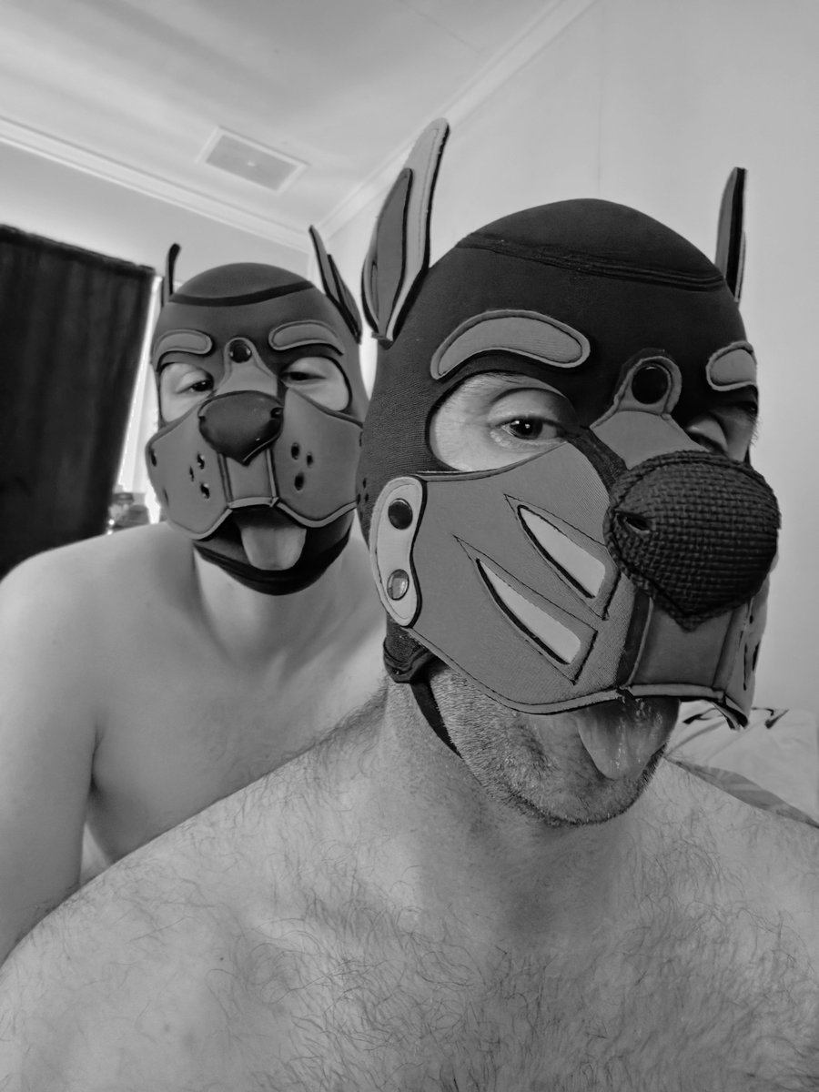peachytwunk's tweet photo. Prepare for trouble, and make it double especially with @PupSugaa around 😜😈

Retweet if you'd join in, reply with what we'd be getting up to https://t.co/rPPf9yMCpN