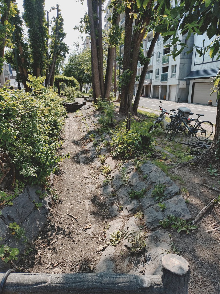 823_htm's tweet photo. 西11丁目から18丁目までの遊歩道好きなんだよね。
散歩 https://t.co/joKALfaYos