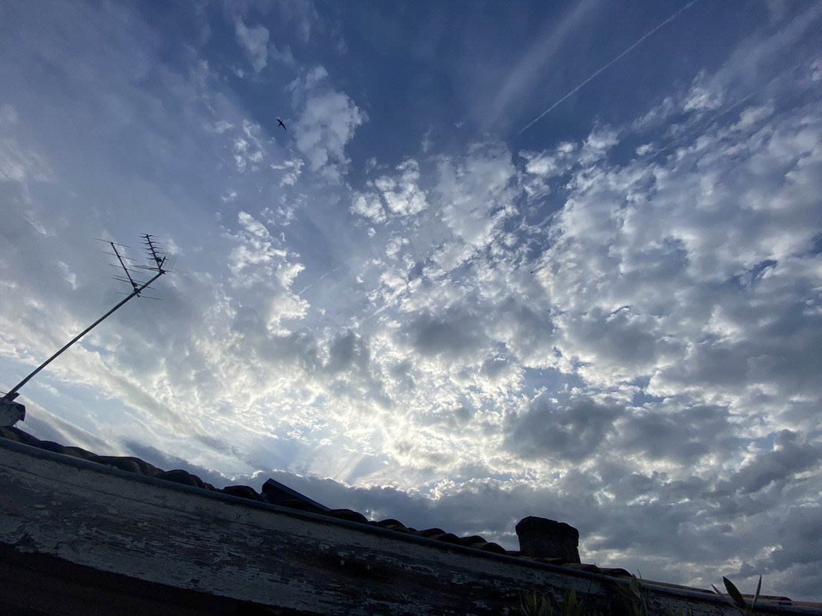 MWidcoq's tweet photo. LIBOURNE 33500 

Ils sont en train d’assécher en direct  les nuages qui s’étaient reformés pendant la nuit 
Le quadrillage via les chemtrails a débuté ce matin très tôt. 
Ainsi ils déclenchent une sécheresse artificielle et les molécules de produits chimiques atomisés forment un dôme de chaleur qui piègent les infrarouges au sol. 

Une forte odeur de poudre sulfurée était perceptible. 

Détails du procédé posts suivants ⬇️