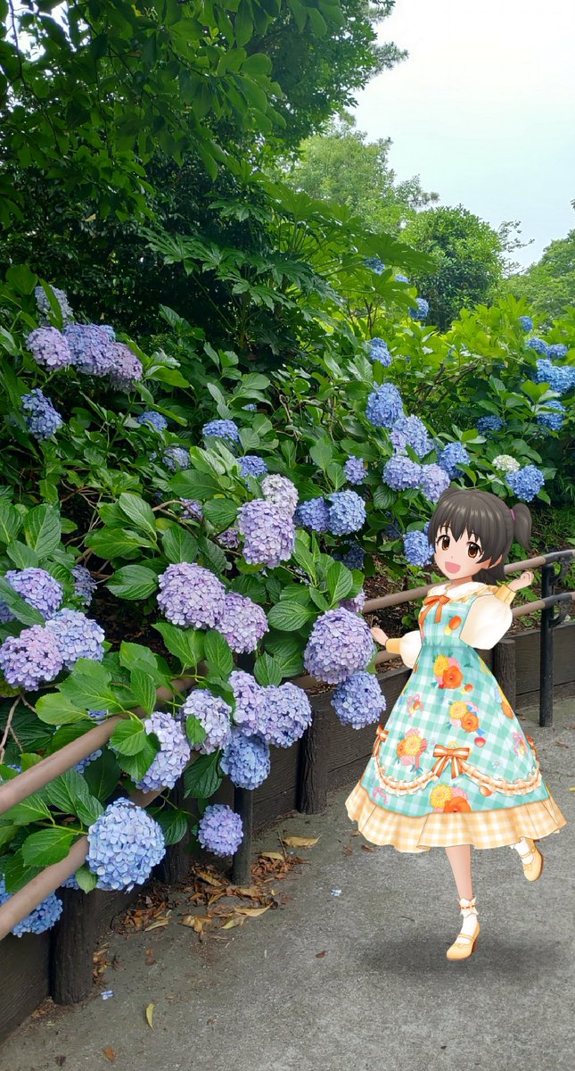 toritoriX2's tweet photo. #赤城みりあ 
#佐城雪美 
#遊佐こずえ 
#横山千佳 
#橘ありす https://t.co/PybQdbjVix