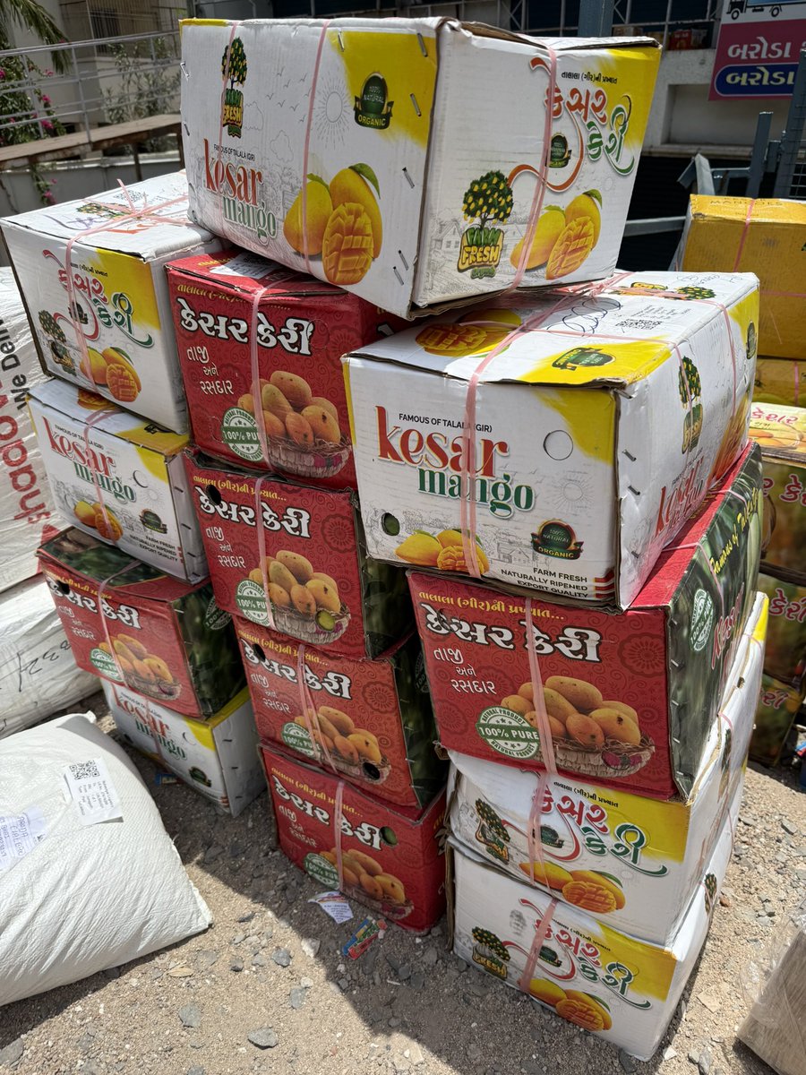 neelang_dave's tweet photo. This is the Last &amp; Final call for passengers traveling on #Kesar #Mango Flight from Rudrasaadhak Farms 🌳 Talala Gir 🦁 to your Hearts ❤️ &amp; Plate 🍽️ alike
🛫
End of season Pre Orders &amp; Bookings open.
👑
#Organic
🥭
#VocalForLocal https://t.co/hL7s69vP3U