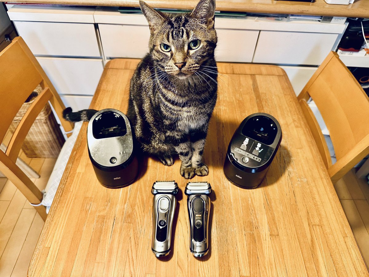 kilegend's tweet photo. 「ご主人、新しいの買ったにゃ！右がそうにゃ！似てて分からないけど音が静かになったのは嬉しいにゃ！よく剃れるらしいにゃ！ダッシュで写り込んでやったにゃ！ボクはゼッタイに剃らないにゃ！」#猫のいる暮らし #シェーバー https://t.co/udchK0TjZP