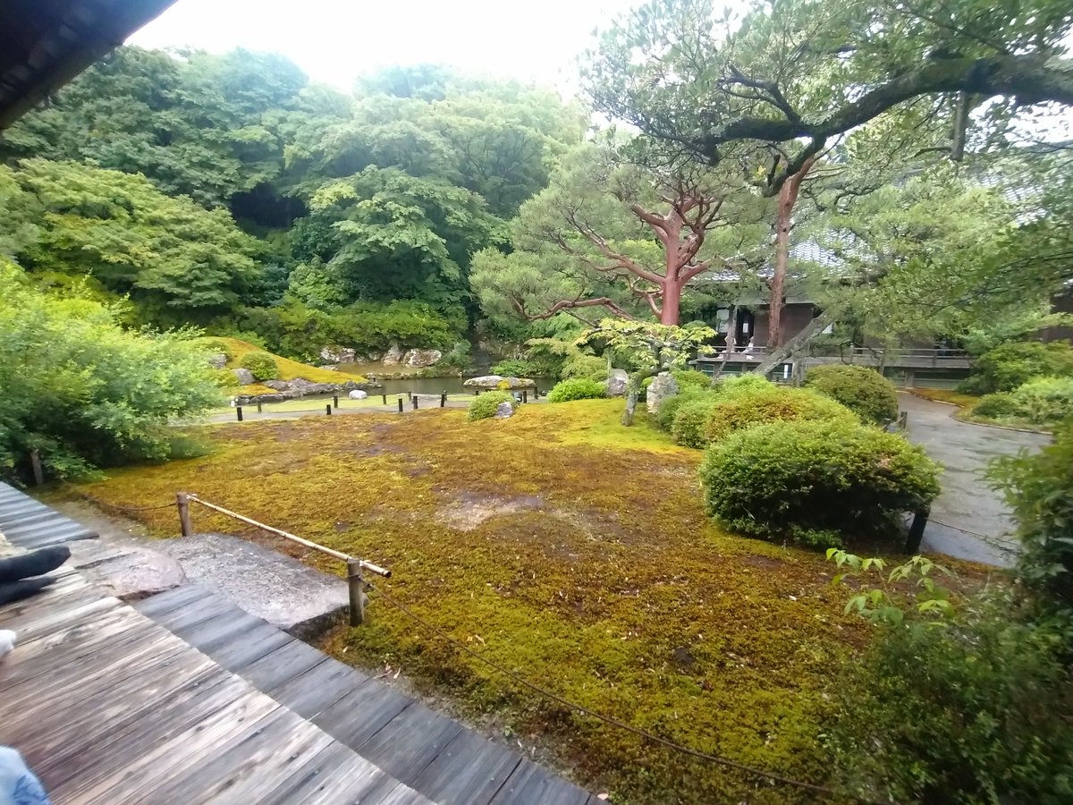 sugar_reed's tweet photo. 知恩院 青蓮院 https://t.co/NnPZEFOMoO