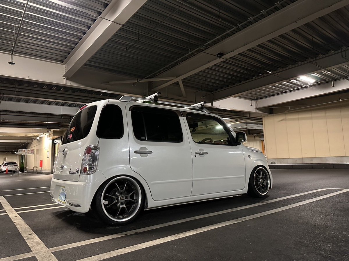 おはようねこさん。 tweet media