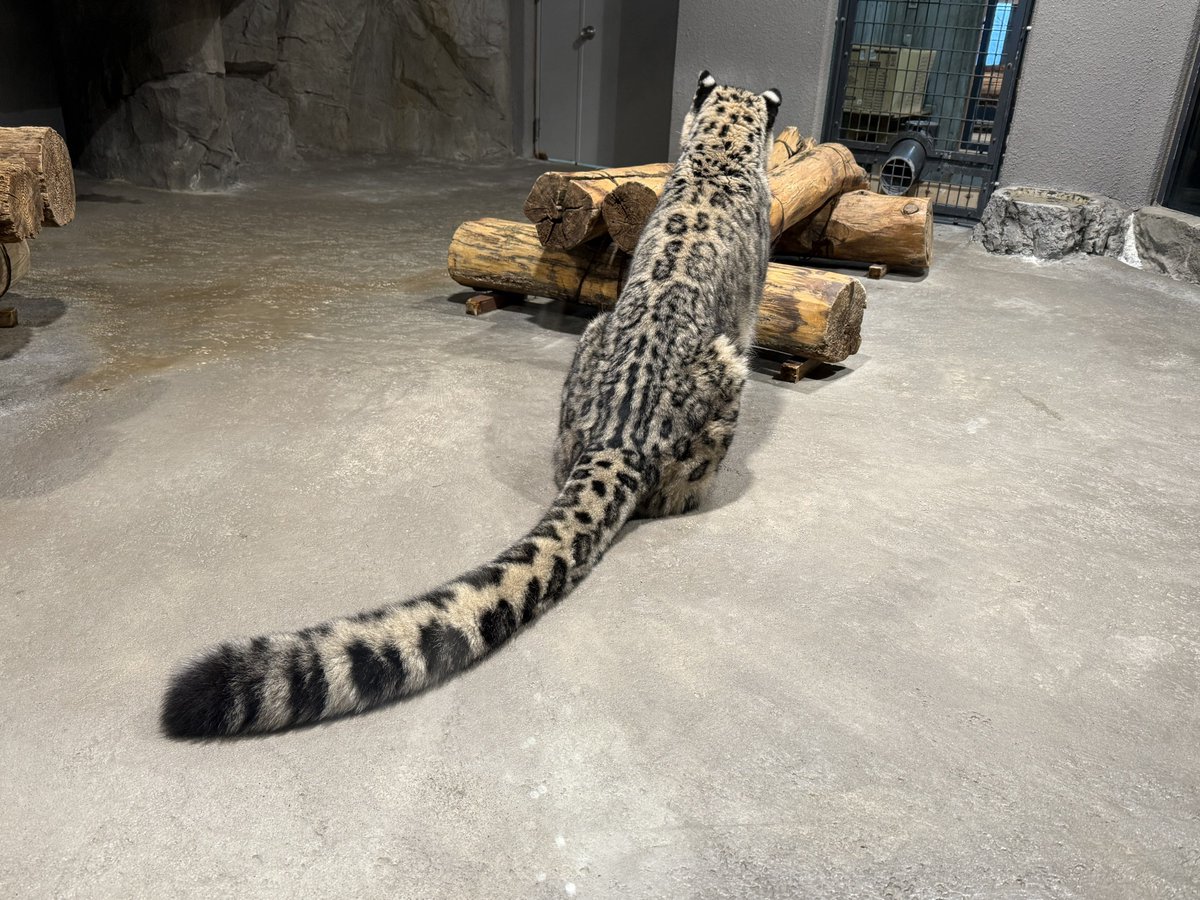 CatReviewer's tweet photo. OKAY BRO WE SEE IT https://t.co/eRMHZiNUAi