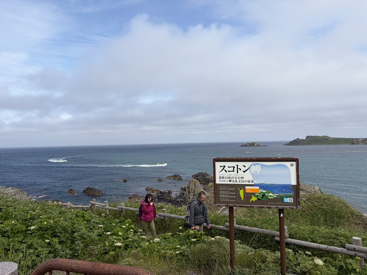 Josh_Jan_J's tweet photo. @j2_pro スコトンいってカニ食った
あつもり草見れた？自分行った時にもう終わりかけだったみたいだけど https://t.co/BdmOspd38i