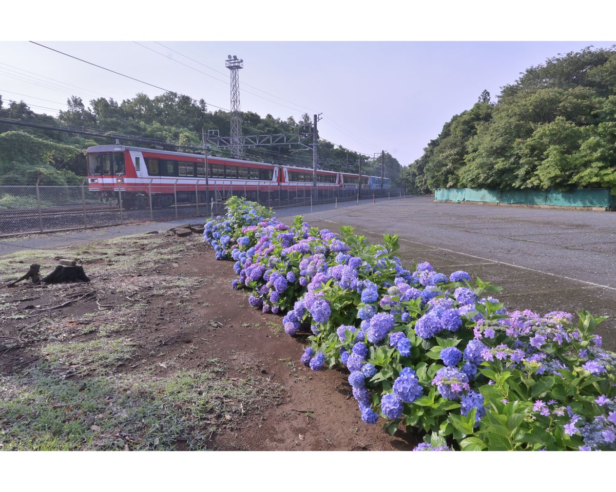 2026.06.13 鹿島臨海鉄道 回122D〜122D 朝から6000形4両はぶったまげた！