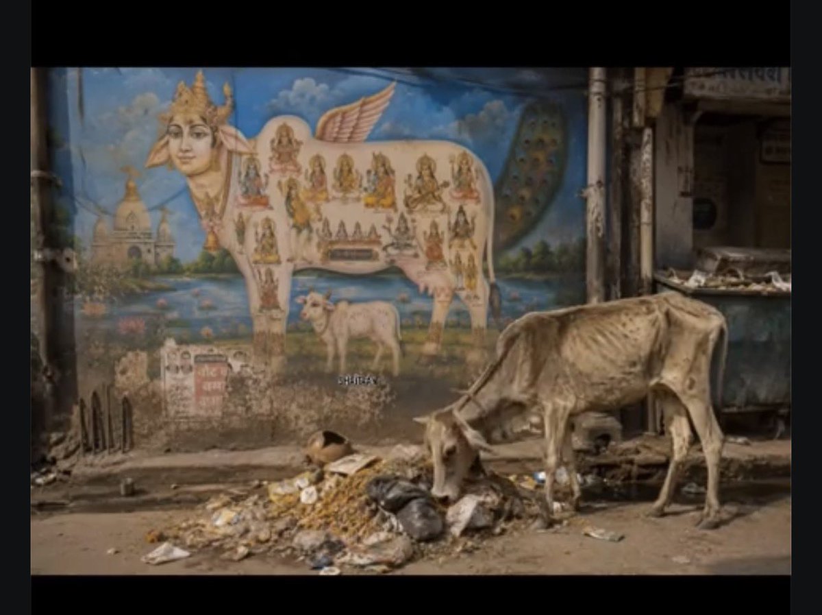DiscourseDancer's tweet photo. If one picture could describe where India is, it would be this. https://t.co/2tZZLqCquX