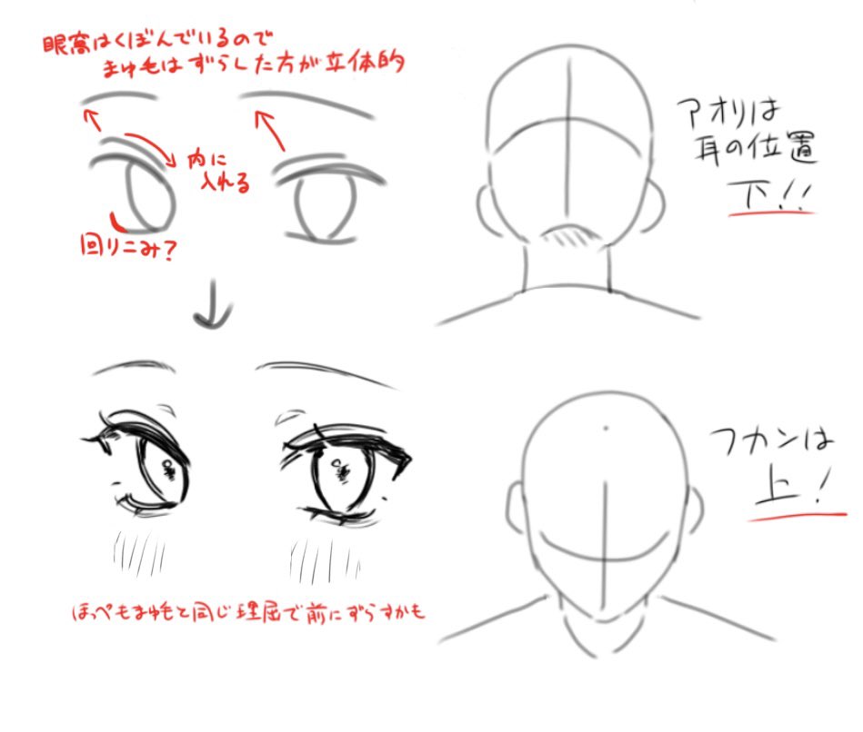 Talrupaaa's tweet photo. 顔の解説？です
字が汚いです https://t.co/Kr03IEfm0W