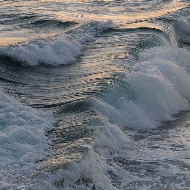 ☘️ tweet media