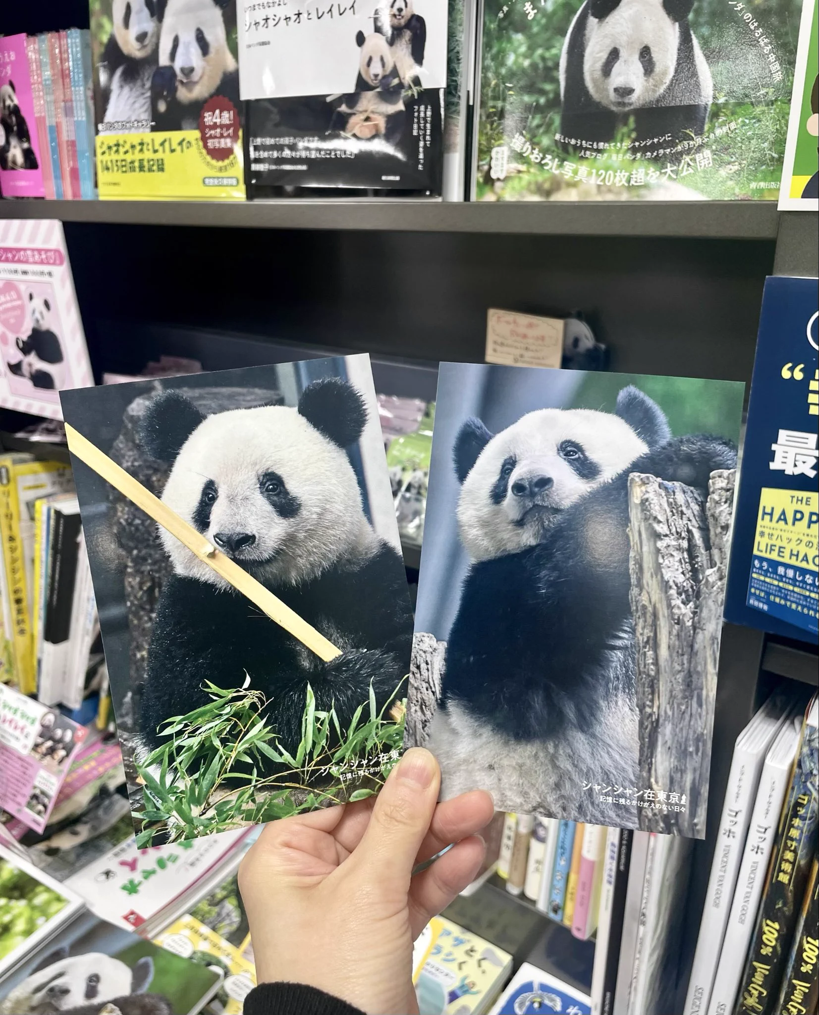 三省堂書店アトレ上野店×神保町いちのいちアトレ上野店 on X: 
