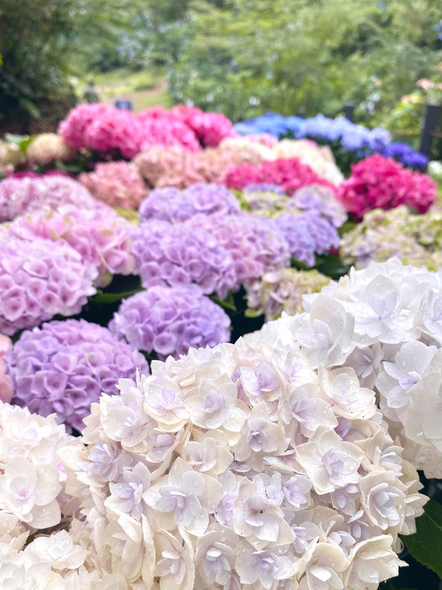 karumera_23's tweet photo. https://t.co/5hi89BFFRd