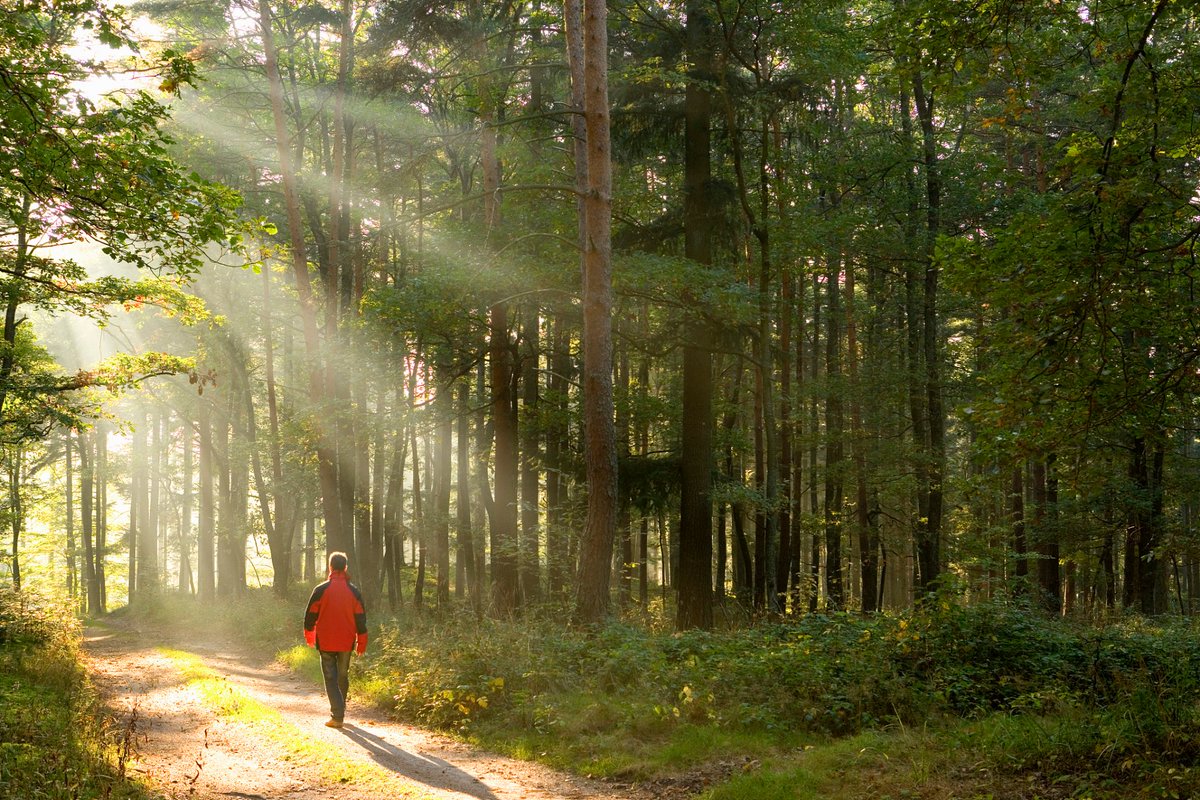 BAGGERONER's tweet photo. Finally hit my 10k steps goal after a 7am morning hike!  #FitnessWin， https://t.co/ray4OombaN