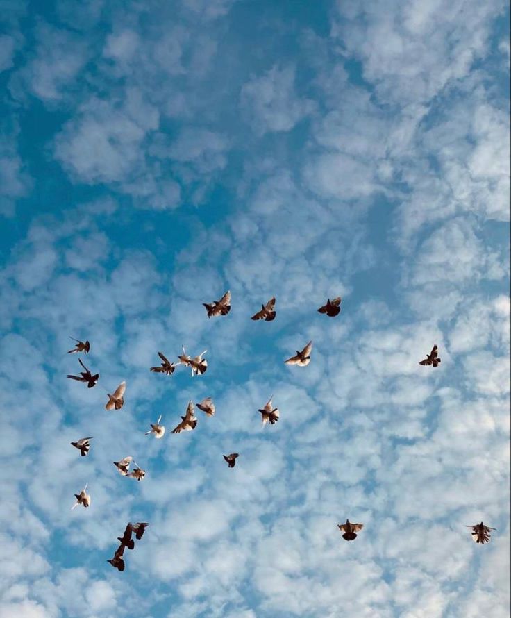 🦋 حـياة 🦋 tweet media