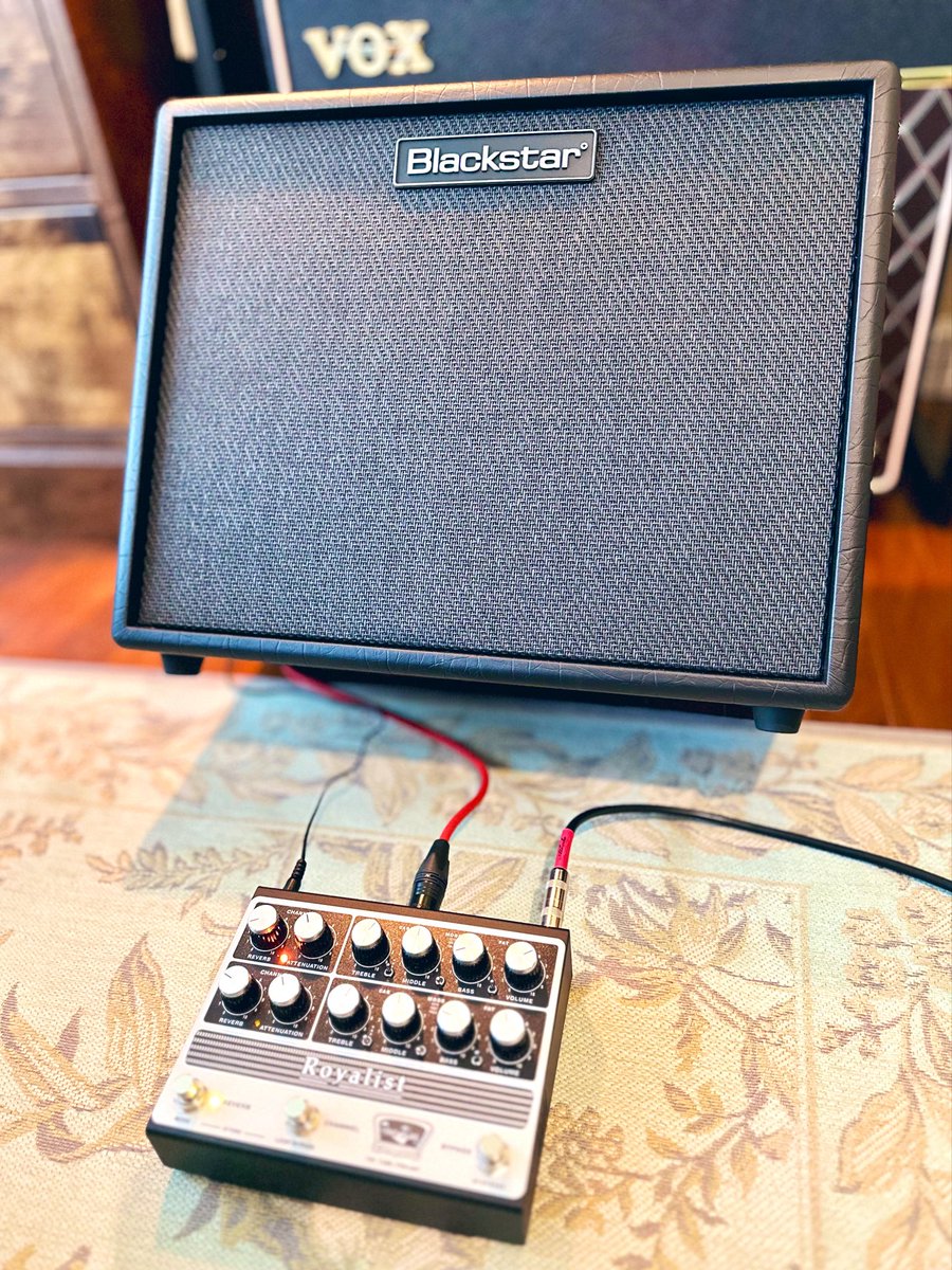 tominchu52's tweet photo. Blackstar 
Artist FR Standard 50W

新しいアンプを手に入れた感触。
背面のキックスタンド、いいねぇ。 https://t.co/TmRjcmXEDq