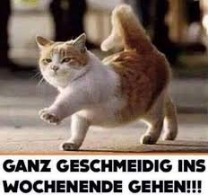 marilisa666's tweet photo. Einen wunderschönen guten Morgen ihr Lieben. 
Habt einen wundervollen, stressarmen Samstag, mit vielen glücklichen Momenten und ein tolles Wochenende. 
Gleich geht’s zum Einkaufen. 
Passt auf euch auf und bleibt oder werdet  gesund. 

(Internetfundstück) https://t.co/e8Q9GEk2Ih